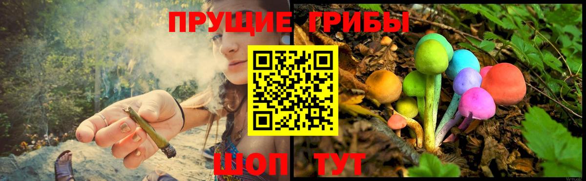 Симферополь  Галлюциногенные грибы мухоморы  Вход с VPN  Псилоцибиновые грибы Psilocybe 